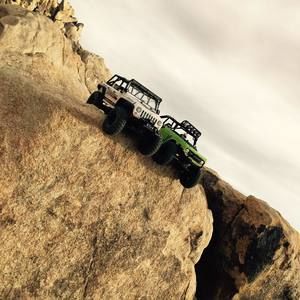 Meet your Posher, Wyatt